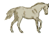 FoalingProblems_LateUdderDevelolpment.rtf